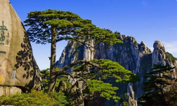 團(tuán)建|魅力初秋，歡歌同行 -2019鑫創(chuàng)夏令營